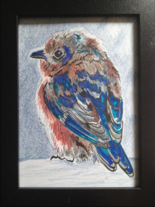 Blue Bird Framed Multimedia